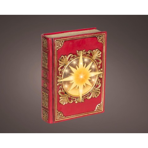 LIBRO RESINA ROSSO LED H.22